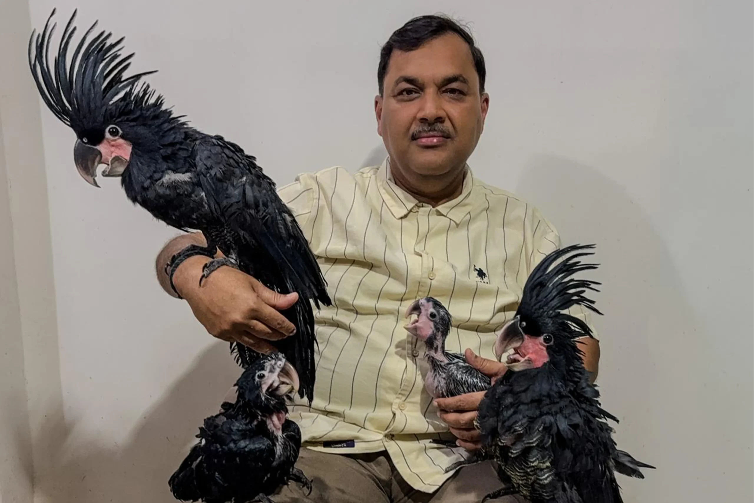 Debashis Banerjee