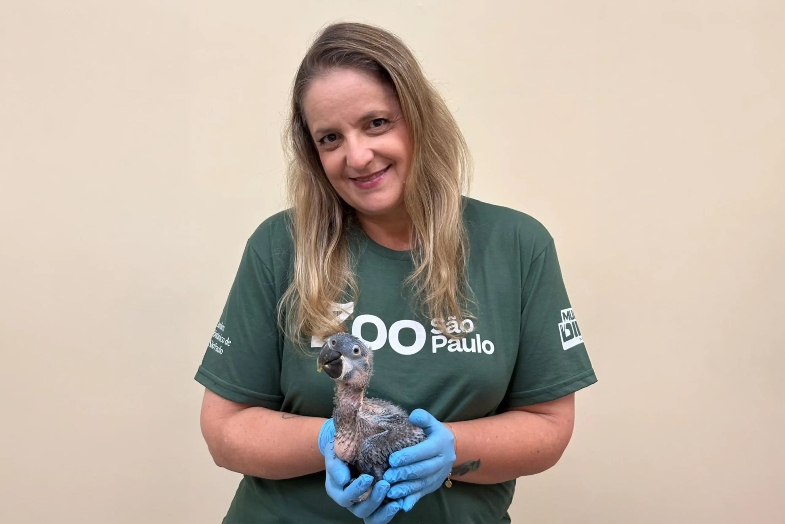 Fernanda Junqueira Vaz Guida